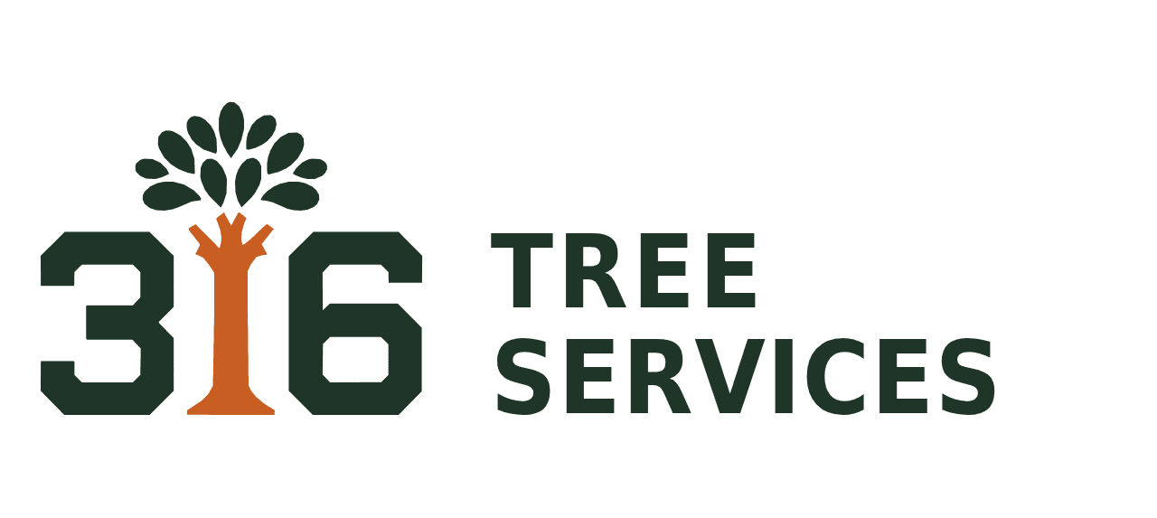 316 Tree Services