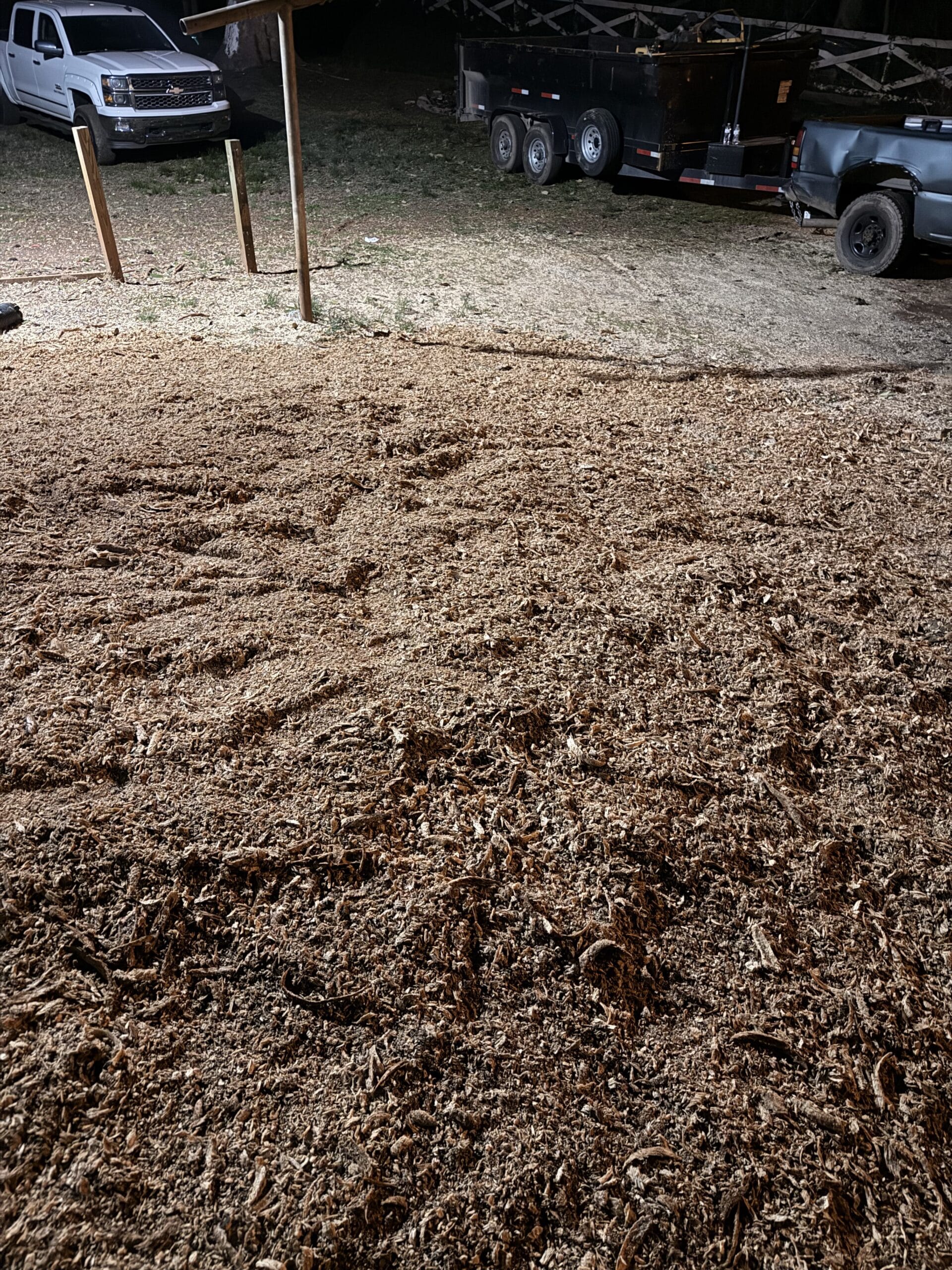 Tree stump ground down to a bed of wood chips spread over the ground