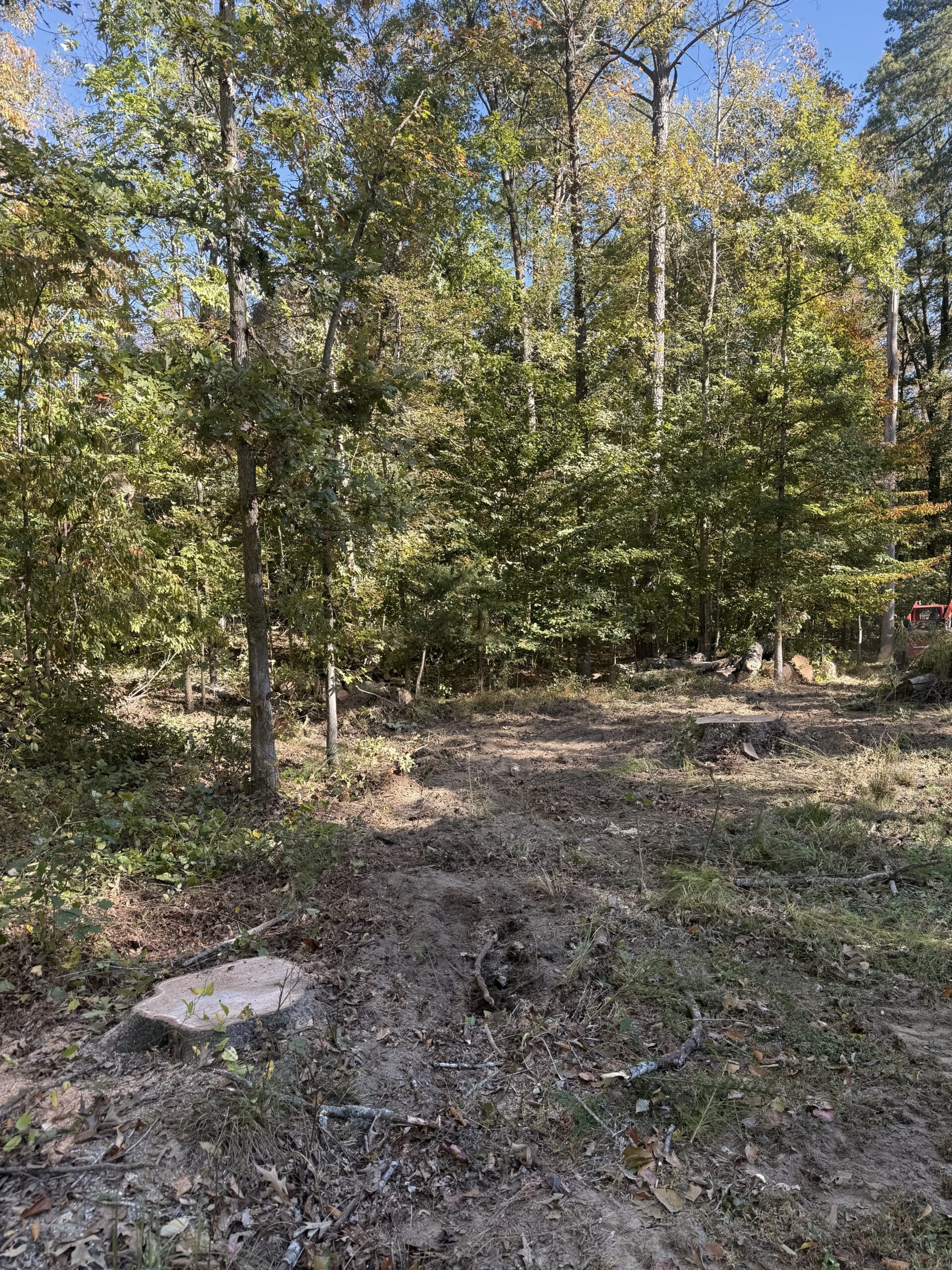 Wooded lot cleared after 316 Tree Services removed two dead trees and cleaned up the brush