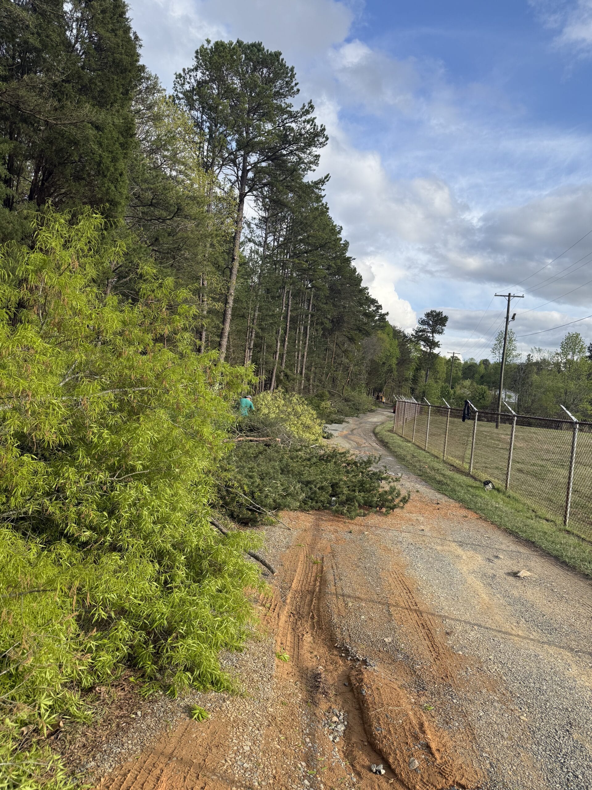 Cut branches piled on a driveway during a 316 Tree Services tree trimming job
