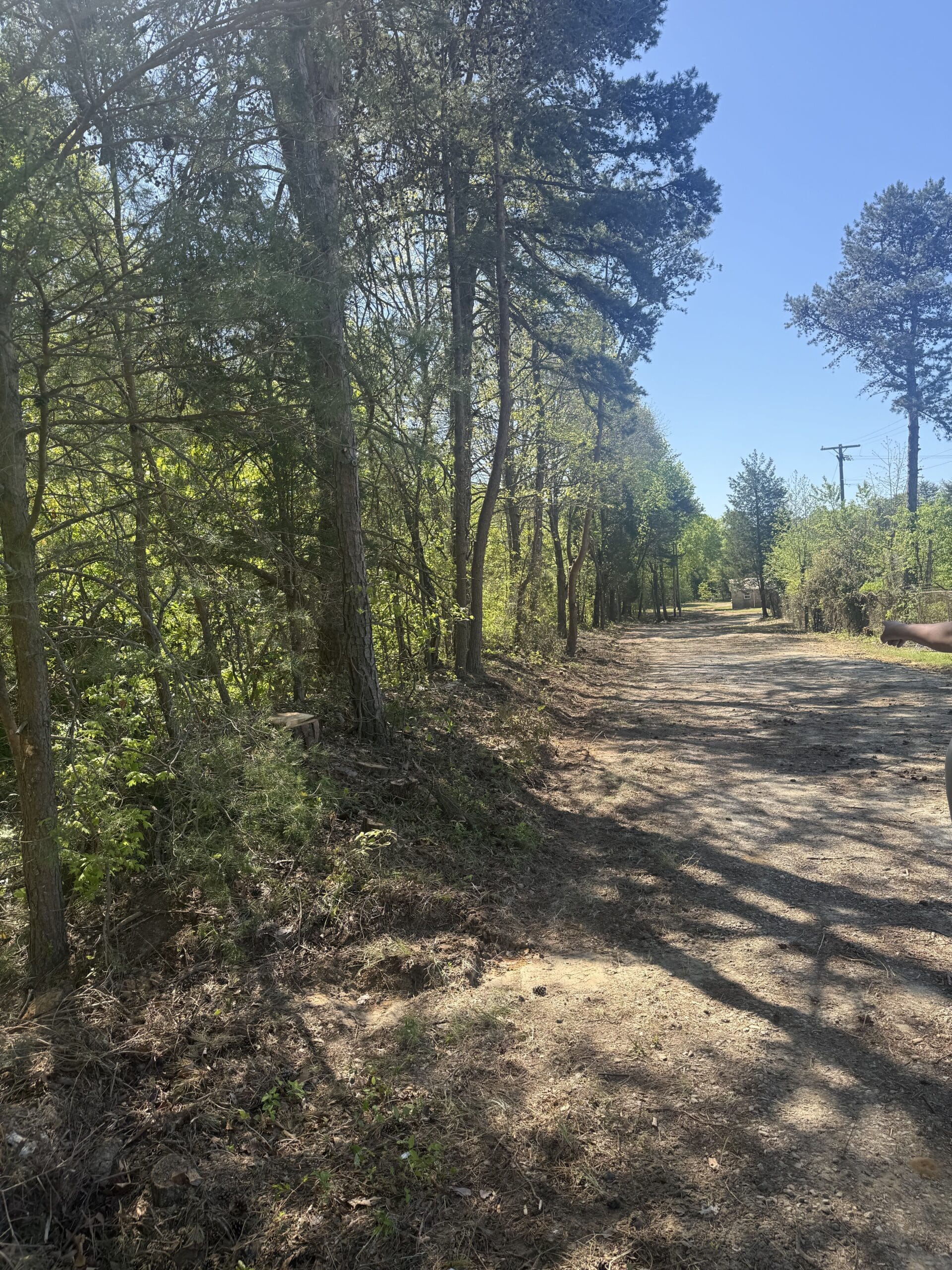Driveway cleared and cleaned up after a 316 Tree Services tree trimming job
