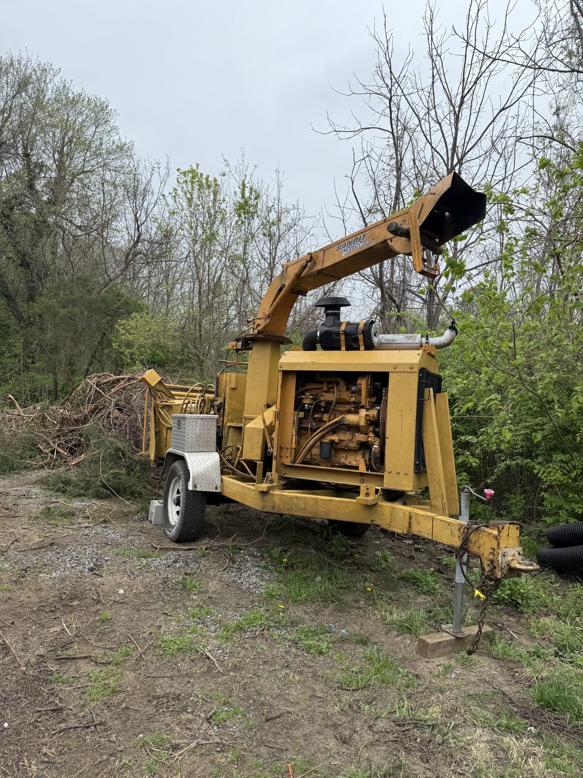 Branches being fed into the wood chipper
