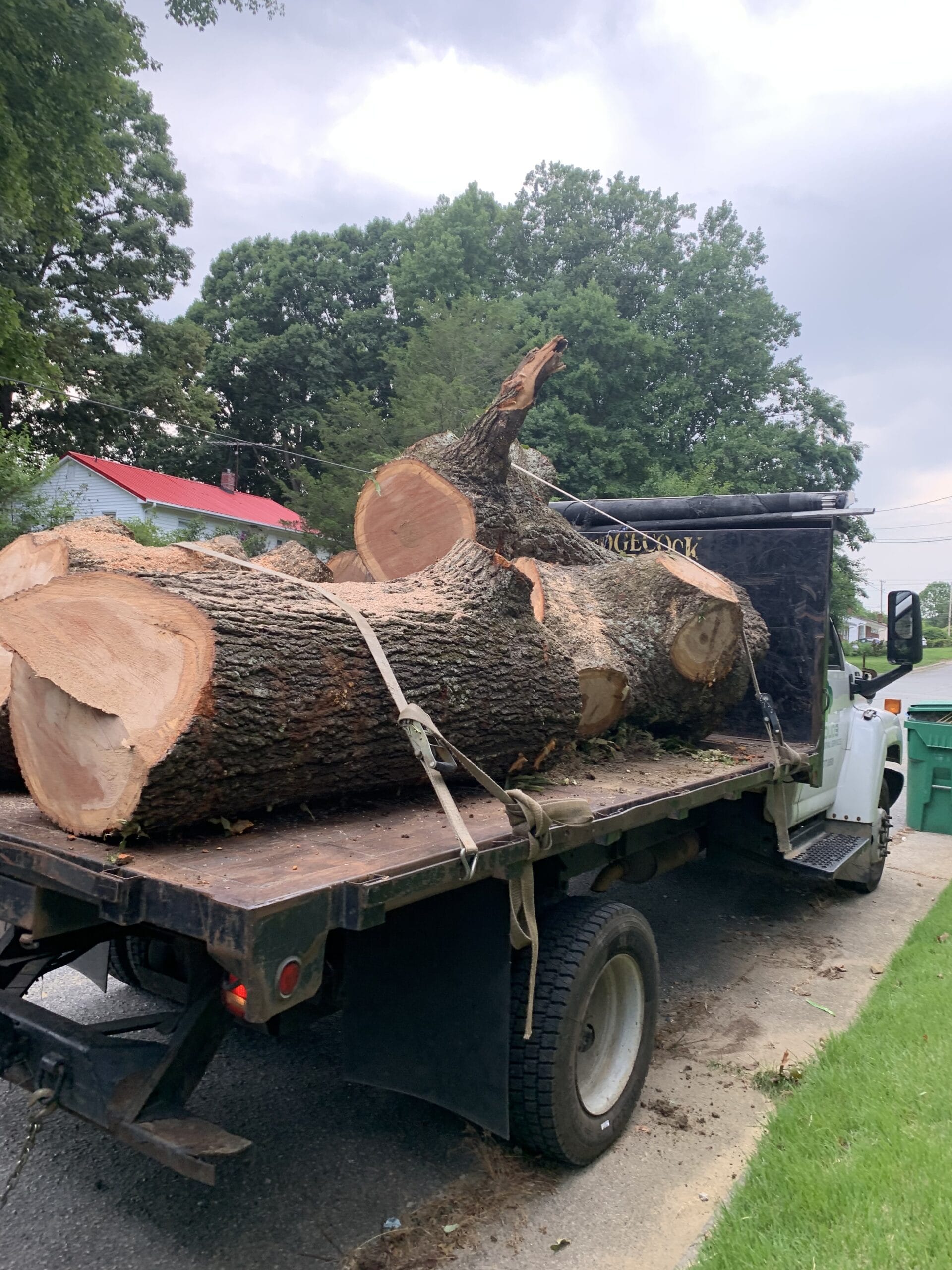 Loading and hauling off large tree debris