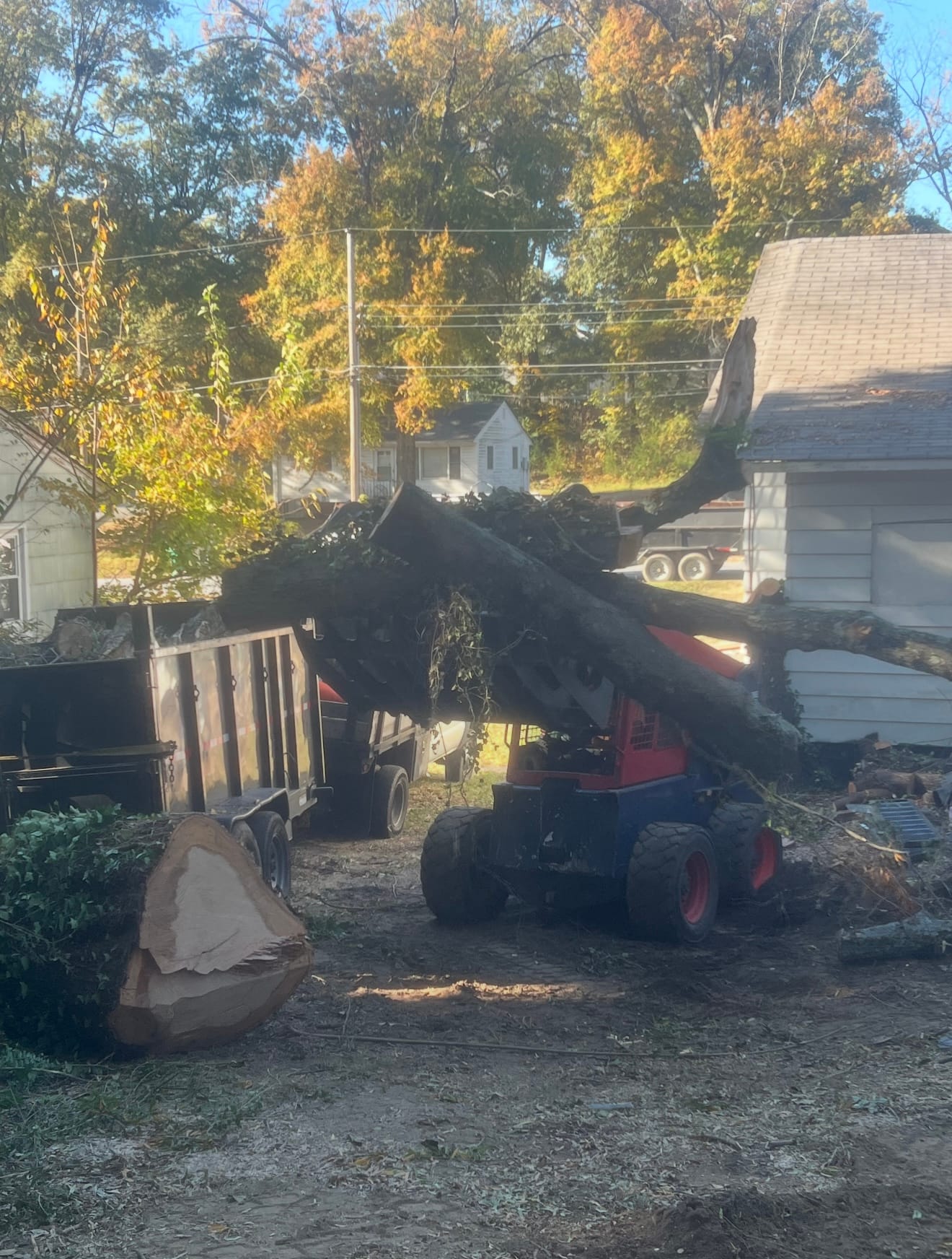 Taking down a large hazardous tree
