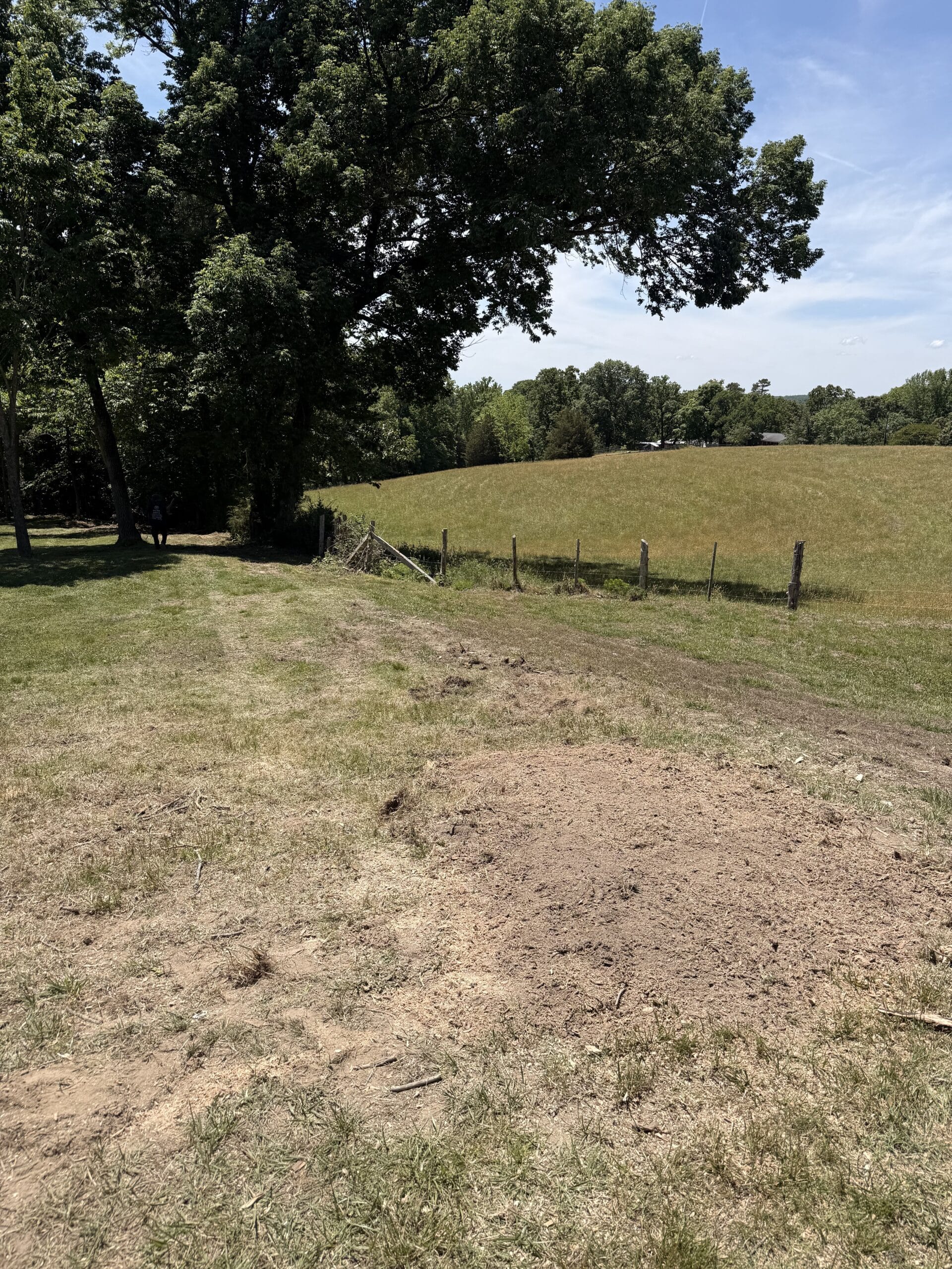 After: small lot cleared of trees and brush, open and clean, Trinity, NC