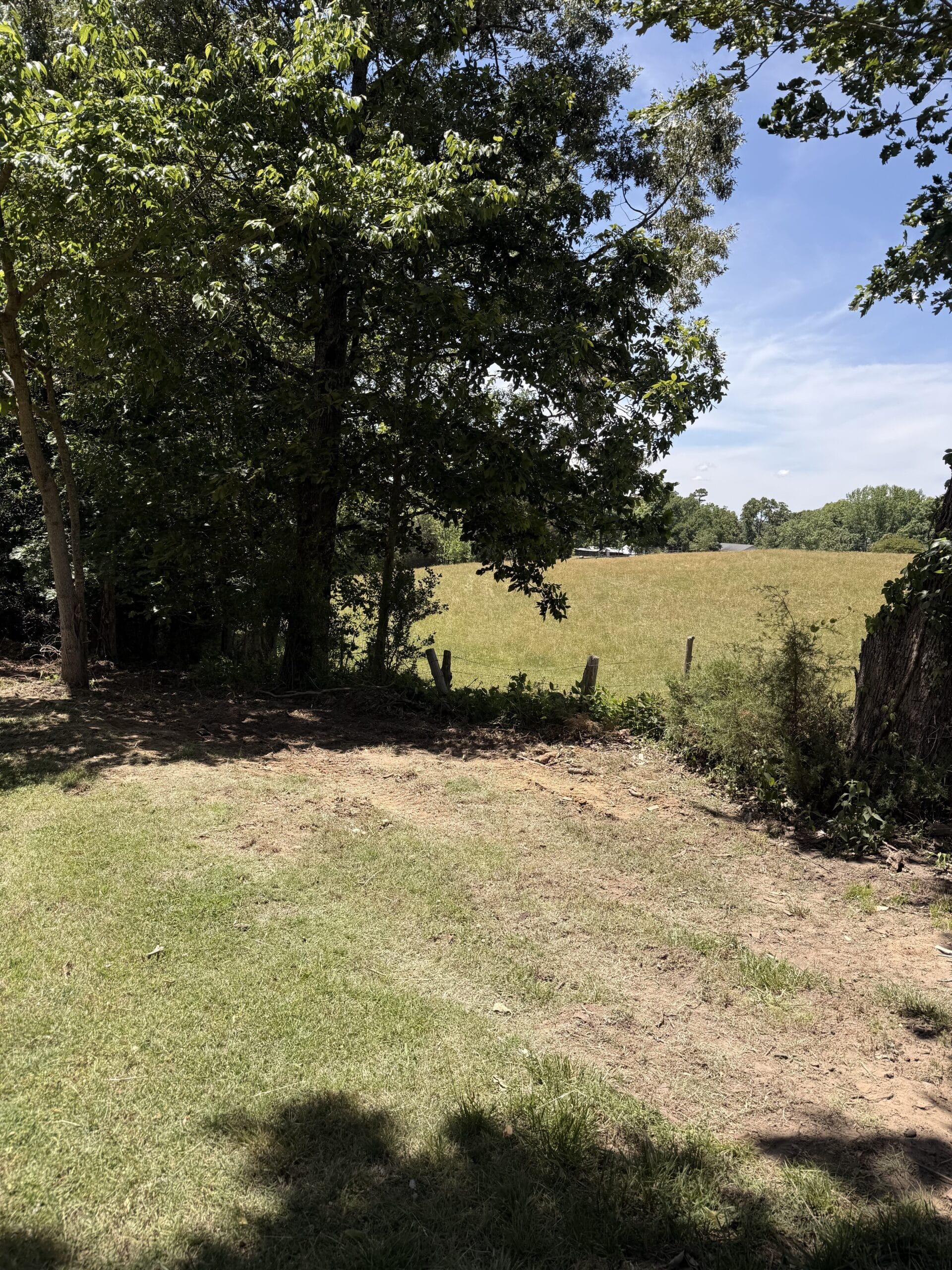 Lot clearing underway, Trinity