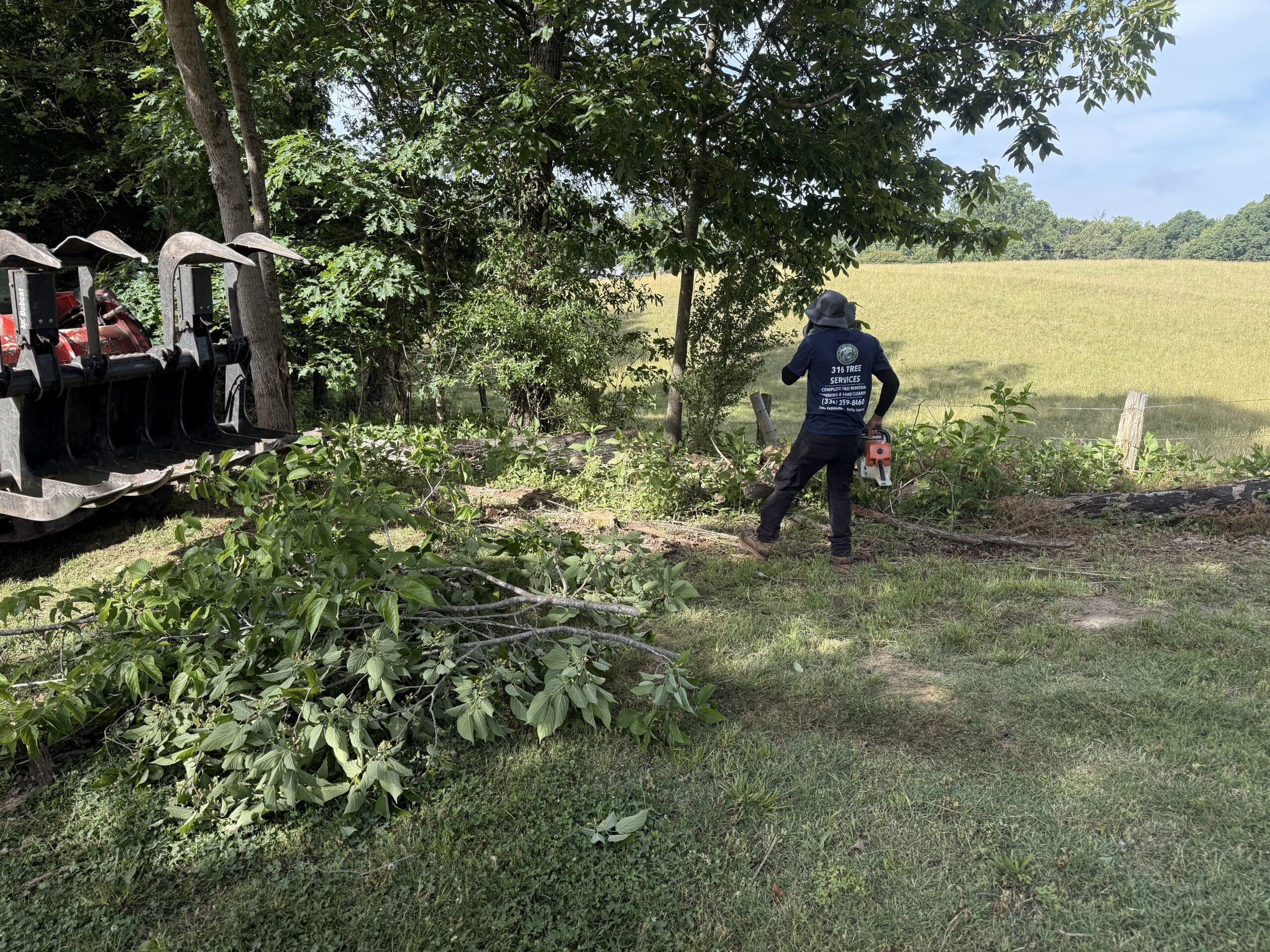 Trees and brush being cleared, Trinity