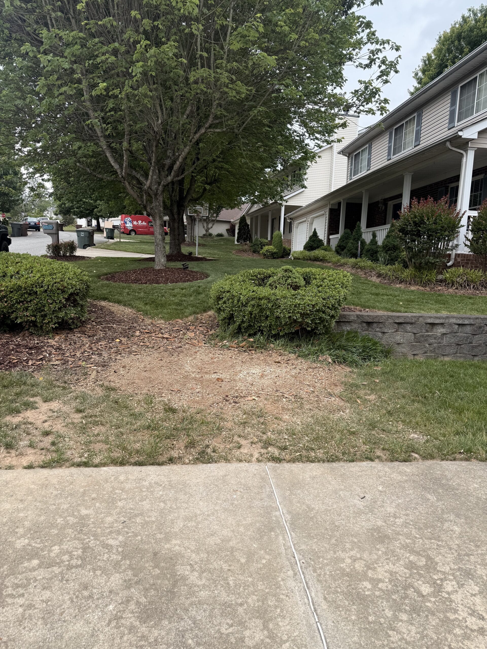 After: yard cleared and cleaned up following a tree removal, Greensboro, NC