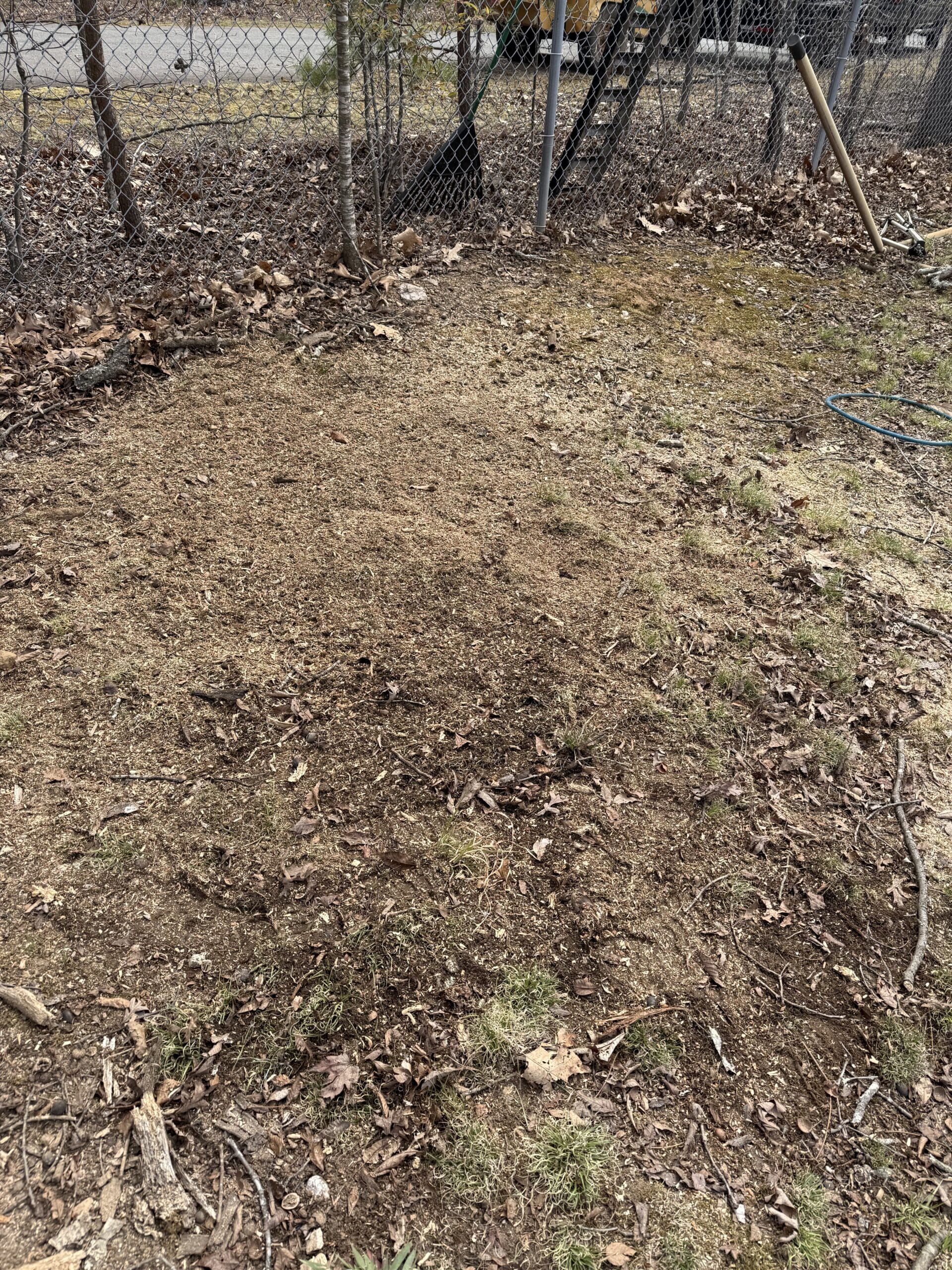 After: hazardous trees removed and stumps ground out, lot cleared for building, Winston-Salem, NC