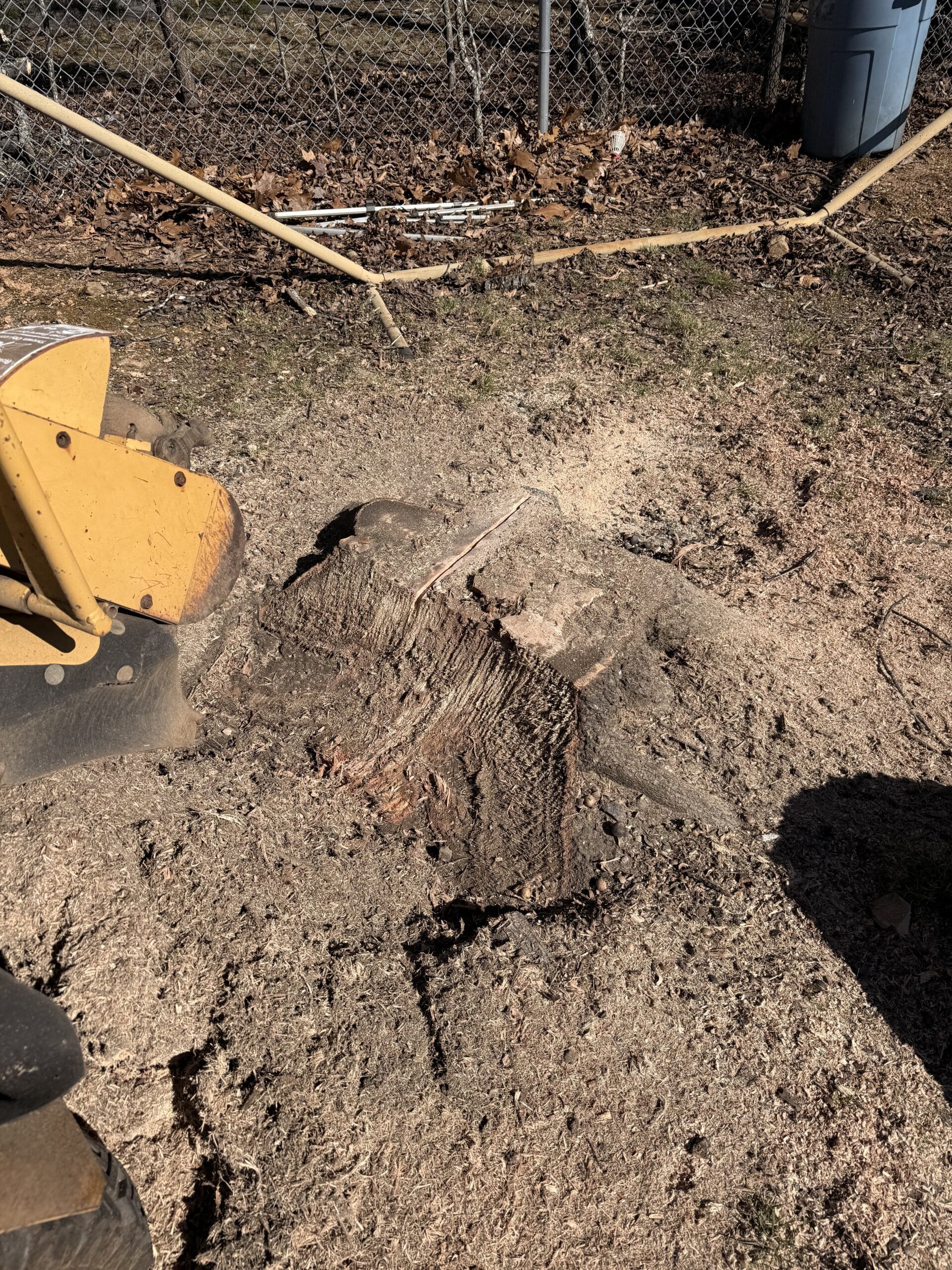 Stump grinding underway after the trees came down, Winston-Salem