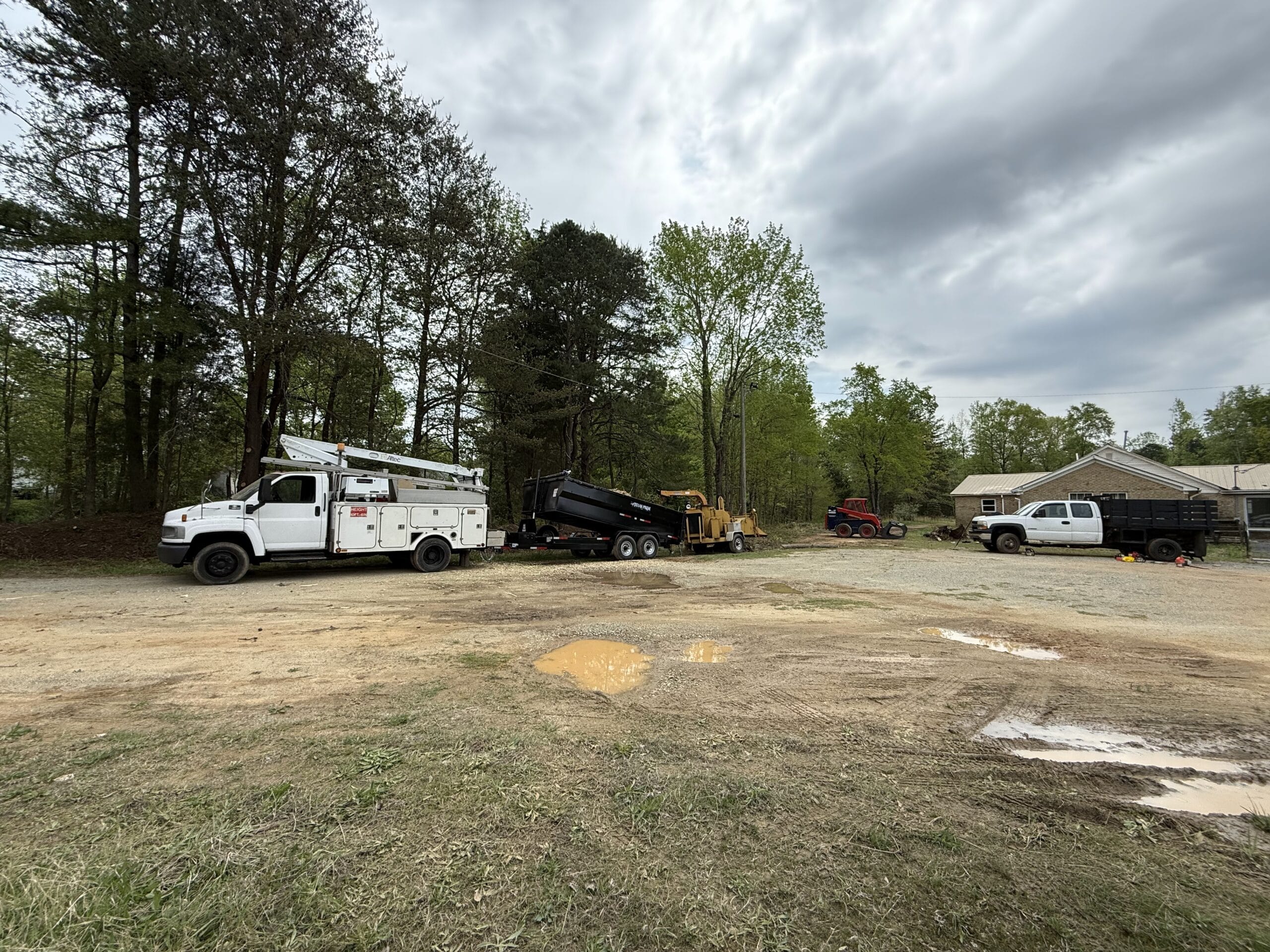 316 Tree Services equipment on a tree-removal job site